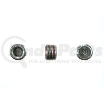 Pioneer PP73525 PIPE PLUG