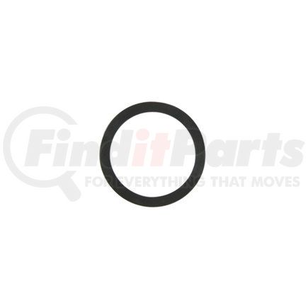 Pioneer 757042 WASHER