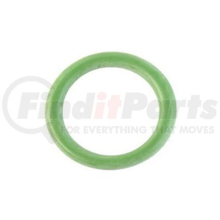 Exhaust Gas Recirculation (EGR) Valve O-Ring