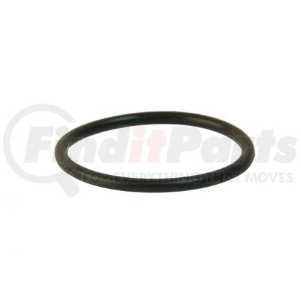 Engine Coolant Pipe O-Ring