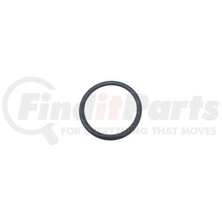 Fuel Injector O-Ring