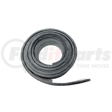 Mack 12AX128P150 Fuel Tank                     Strap