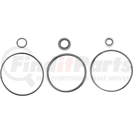 APSCO SK-1779 Hydraulic Cylinder Seal Kit - For use on C-6000 Series Tailgate Cylinders 3/4" Rod