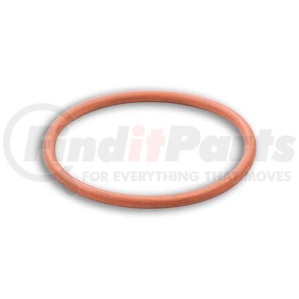 FP Diesel FP-5234702 SEAL RING INJECT