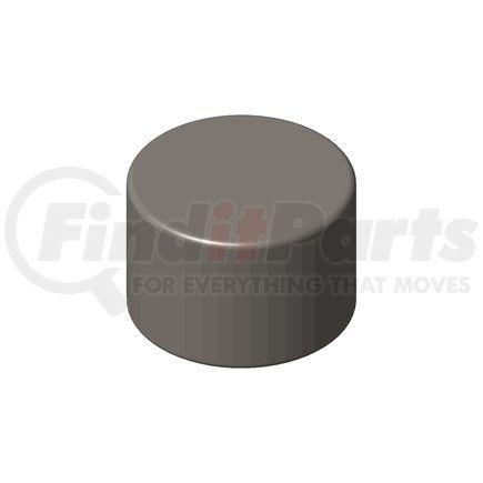 Cummins 3164739 Cap