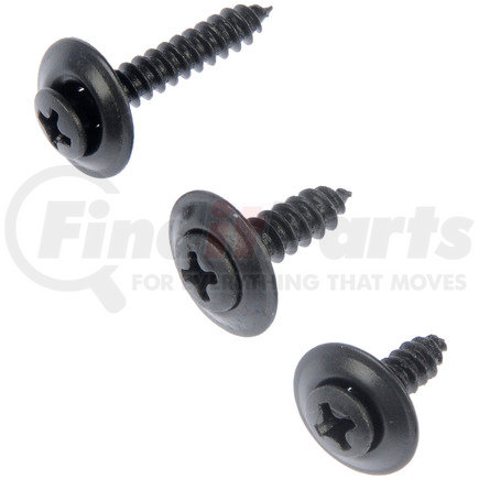 Dorman 961-215 Trim Screw - Black - No. 8 , No. 10 - Assortment