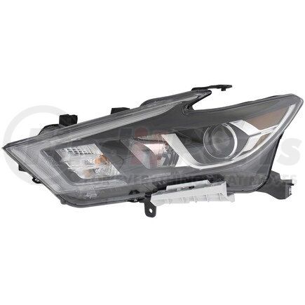 Eagle Eye DS765-B101L Headlight Assembly