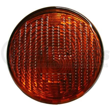 Eagle Eye CS319-U000L Turn Signal Light
