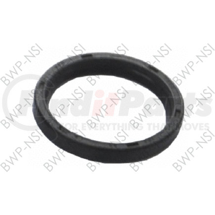 BWP-NSI M-1401 CAM SEAL