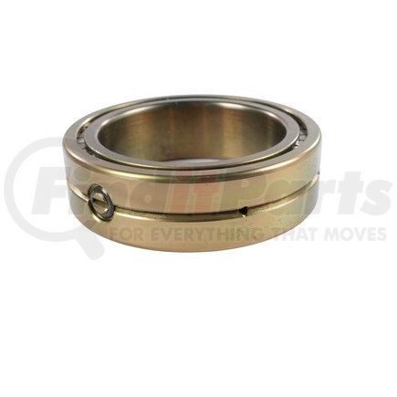 INA Bearing SL01 4918-RR-A-C3 BEARING