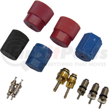 Global Parts Distributors 1311570 gpd Cap and Valve Kit 1311570