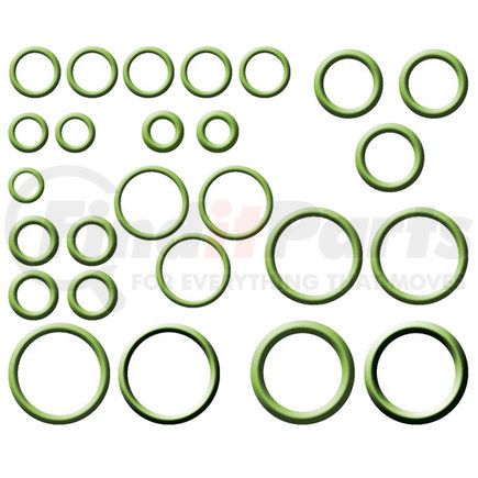 Global Parts Distributors 1321273 gpd Rapid Seal Kit 1321273