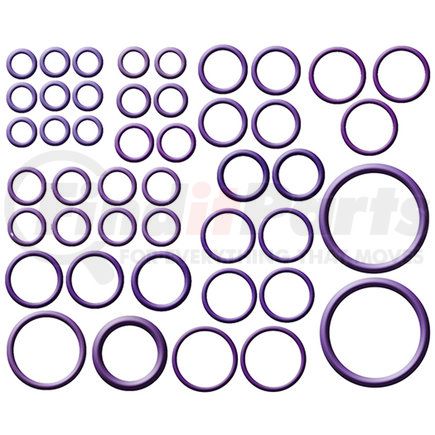 Global Parts Distributors 1321301 gpd Rapid Seal Kit 1321301