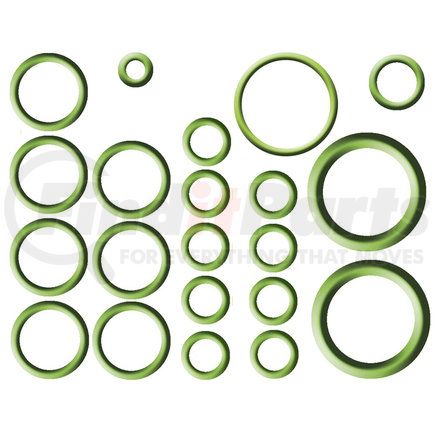 Global Parts Distributors 1321299 gpd Rapid Seal Kit 1321299