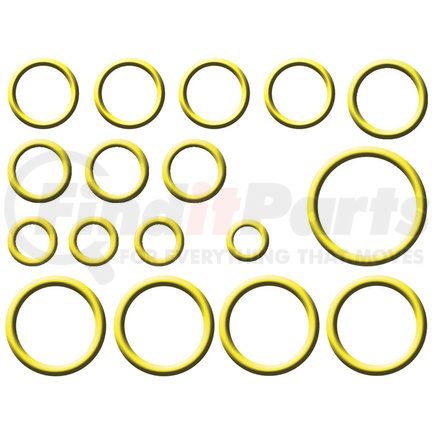 Global Parts Distributors 1321319 gpd Rapid Seal Kit 1321319