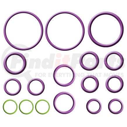 Global Parts Distributors 1321357 gpd Rapid Seal Kit 1321357