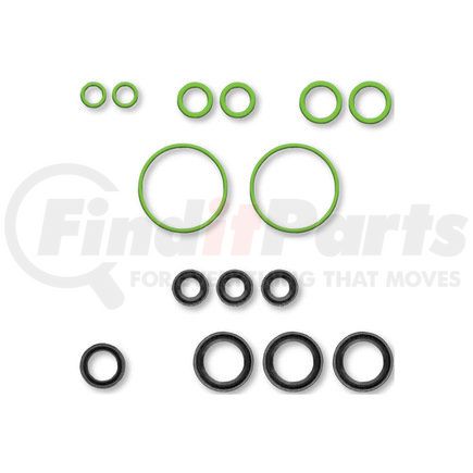 Global Parts Distributors 1321415 gpd Rapid Seal Kit 1321415