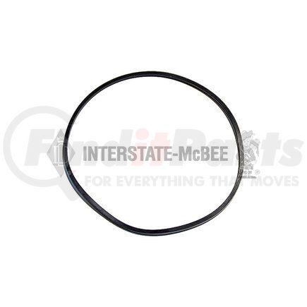 Interstate-McBee A-5103544 Fresh Water Pump Seal Ring