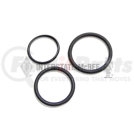INTERSTATE MCBEE A-5229930 Fuel Injector O-Ring Kit