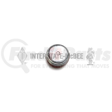 Interstate-McBee A-8923313 Pipe Plug