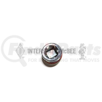 Interstate-McBee A-8923916 Pipe Plug