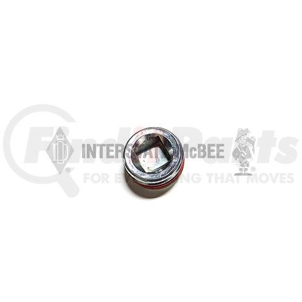 INTERSTATE MCBEE A-8923916 Pipe Plug