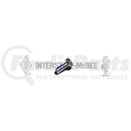 INTERSTATE MCBEE A-8925603 Fuel Pump Bolt