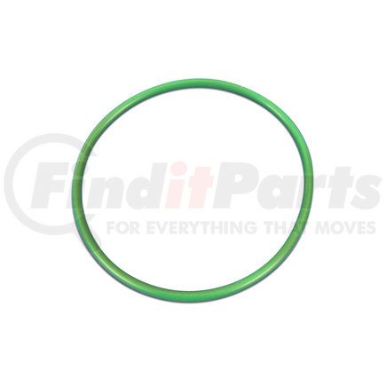 Fuel Pump O-Ring