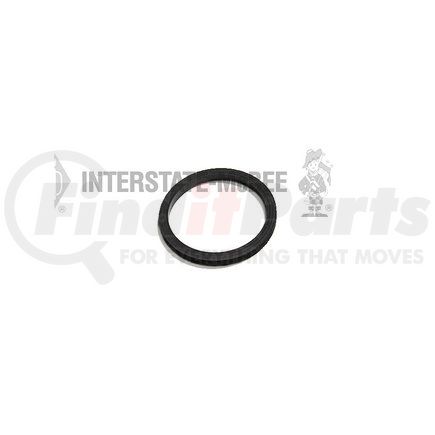 INTERSTATE MCBEE M-100099 Fuel Pump Seal - O-Ring