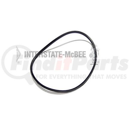 Interstate-McBee M-101853 Multi-Purpose Seal Ring
