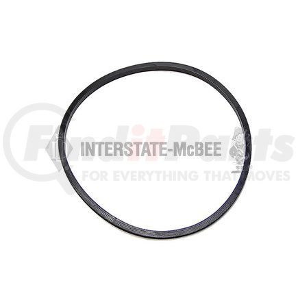 Interstate-McBee M-173368 Multi-Purpose Seal - Rectangular