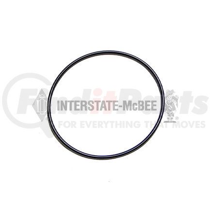 Interstate-McBee M-1819099C1 Multi-Purpose Seal Ring