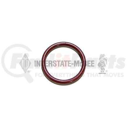 Interstate-McBee M-1842483C1 Fuel Injector Seal