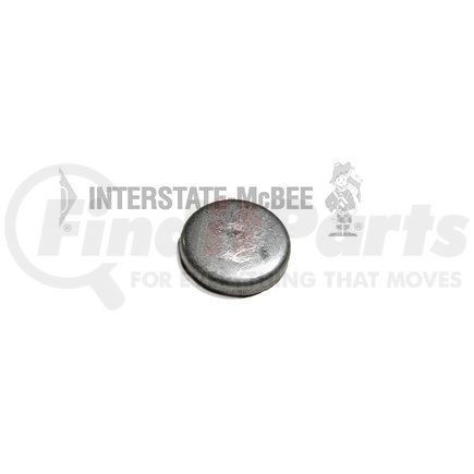 Interstate-McBee M-206224 Multi-Purpose Plug