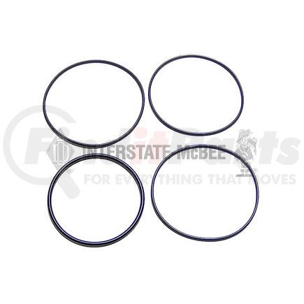 Interstate-McBee M-2107440 Expansion Tank Gasket Kit