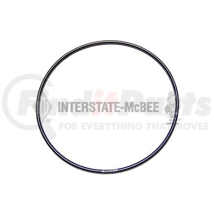 INTERSTATE MCBEE M-2139396 Multi-Purpose Seal Ring