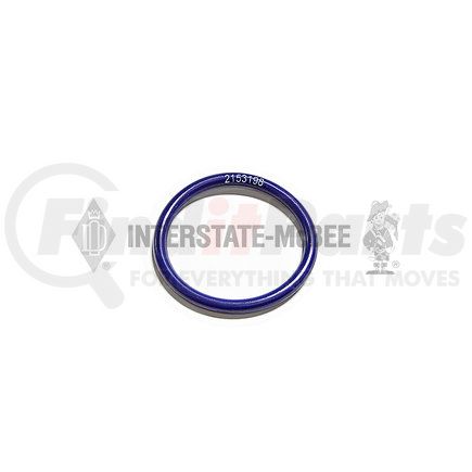 Interstate-McBee M-2153198 Multi-Purpose Seal Ring