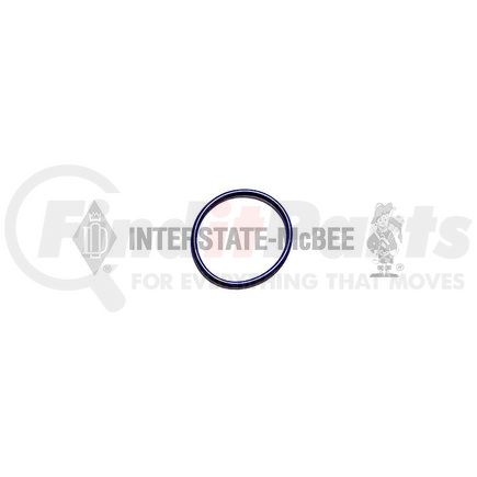 Interstate-McBee M-2454907 Seal Ring / Washer