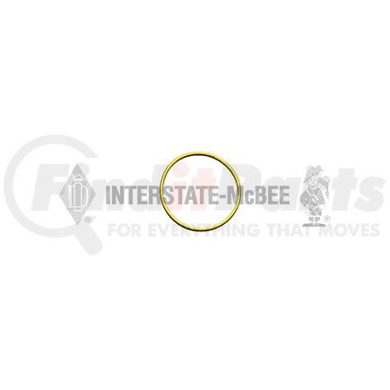 Interstate-McBee M-3009738 Multi-Purpose Seal Ring - Unload Valve