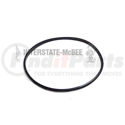 INTERSTATE MCBEE M-3011076 Multi-Purpose Seal Ring