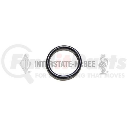 Fuel Pump Seal