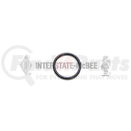 Interstate-McBee M-3931824 Multi-Purpose Seal Ring