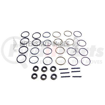 INTERSTATE MCBEE M-4025063 Fuel Injector Seal Kit