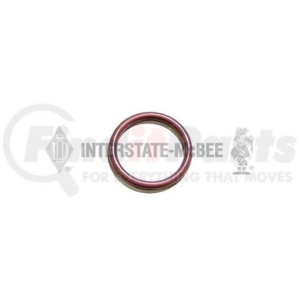 INTERSTATE MCBEE M-4898439 Multi-Purpose Seal Ring