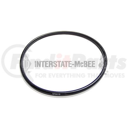 INTERSTATE MCBEE M-5P6619 Multi-Purpose Seal Ring