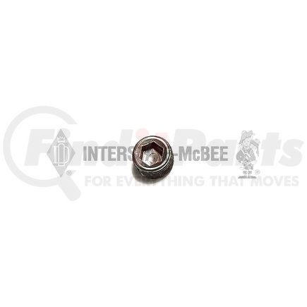 INTERSTATE MCBEE M-S995 Pipe Plug