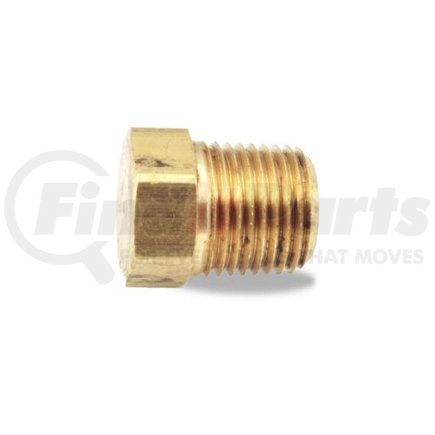Velvac 017053 Pipe Fitting - Brass, 1/4"