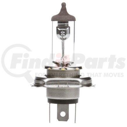 Flood Light