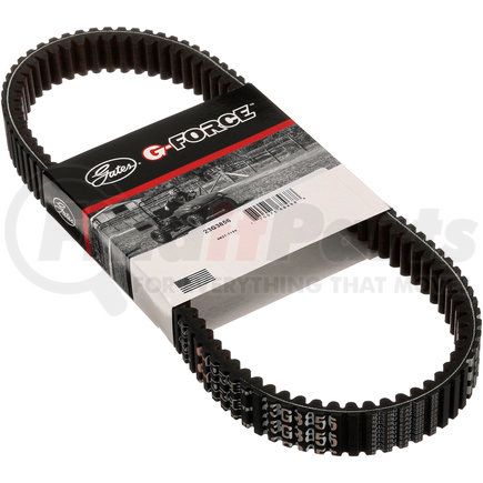 Gates 23G3856 G-Force Continuously Variable Transmission (CVT) Belt