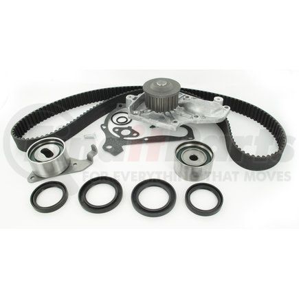 SKF TBK199WP